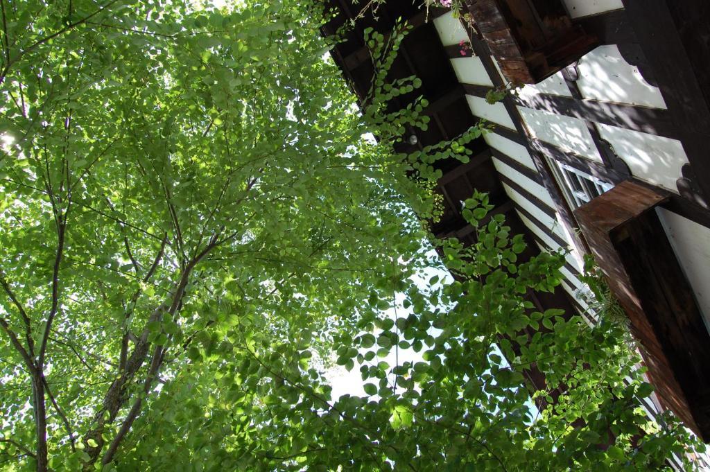 Petit Hotel Alumu Ματσουμότο Εξωτερικό φωτογραφία